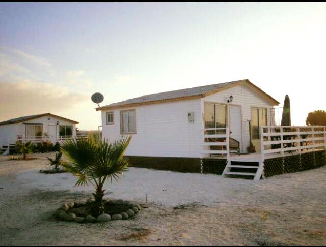 10984112_1619952661623748_4023509190197371884_n