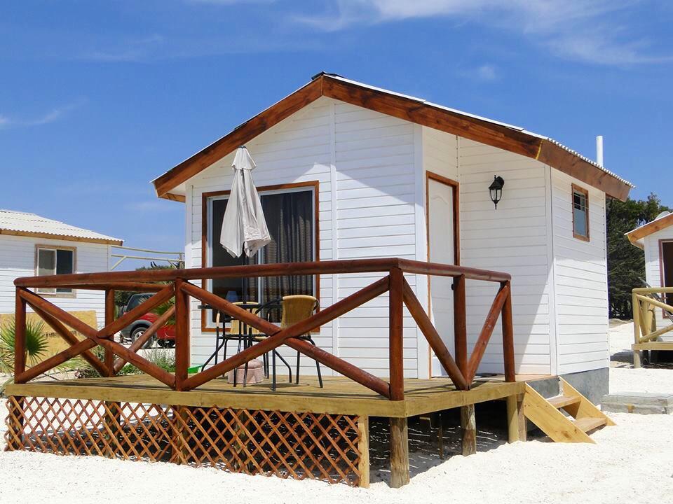 10984981_1600942246858123_7988939782500375109_n