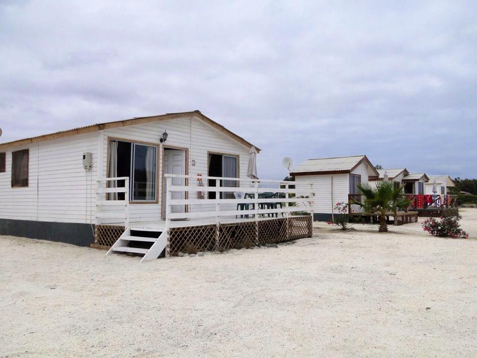 11330047_1600170173601997_6244475630609610939_n