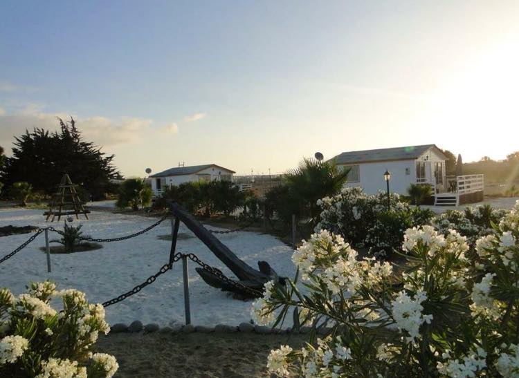 1488056_1675611932724487_5977437974594791781_n