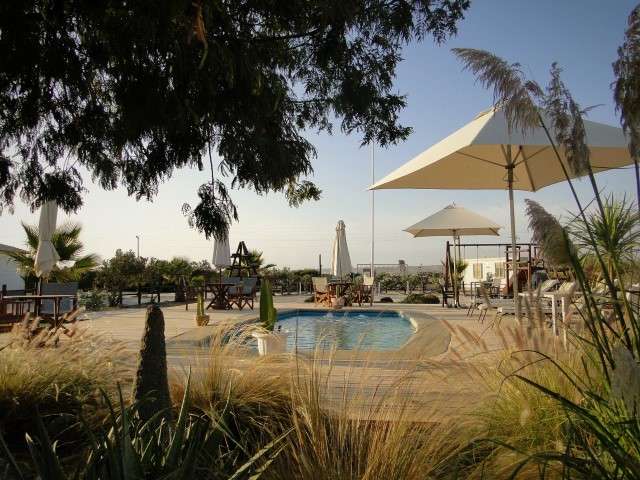 DSC06125 (2) (Small)